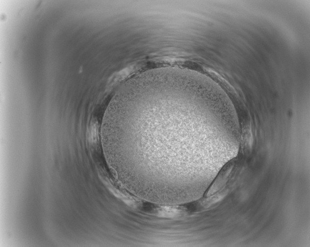 X0000087050623200704251005