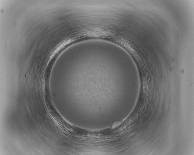 X0000087050626200704251005