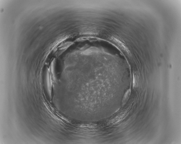 X0000087050627200704251005