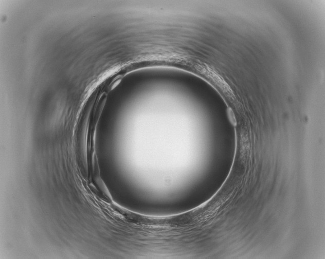 X0000087050628200704251005