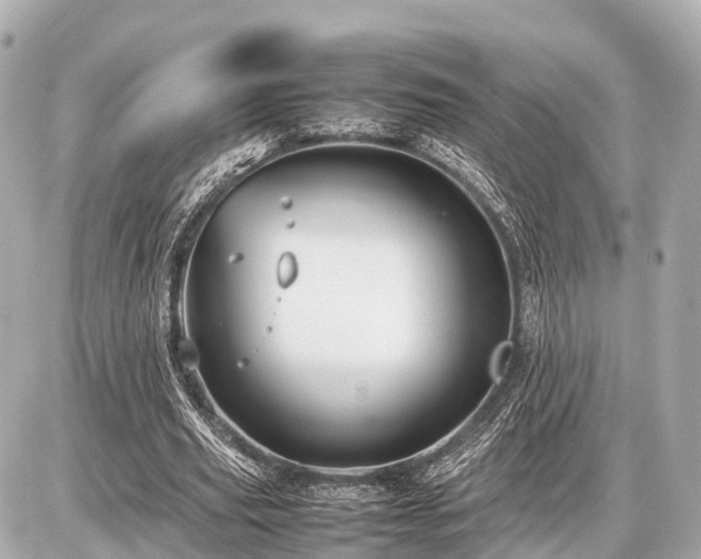 X0000087050629200704251005