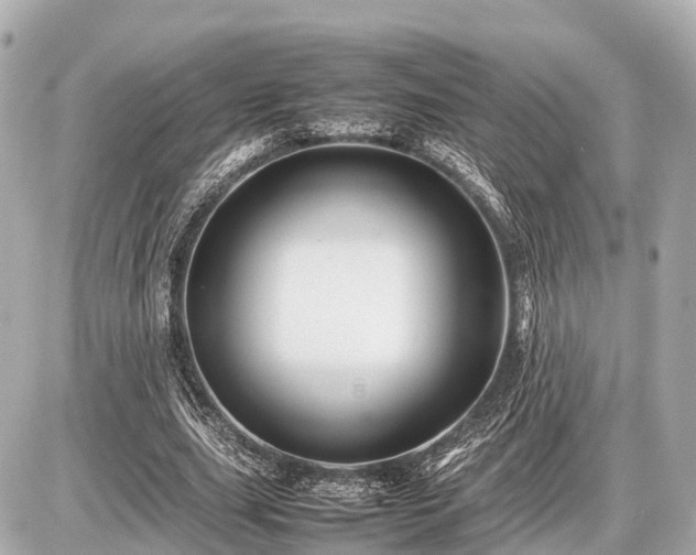 X0000087050631200704251005