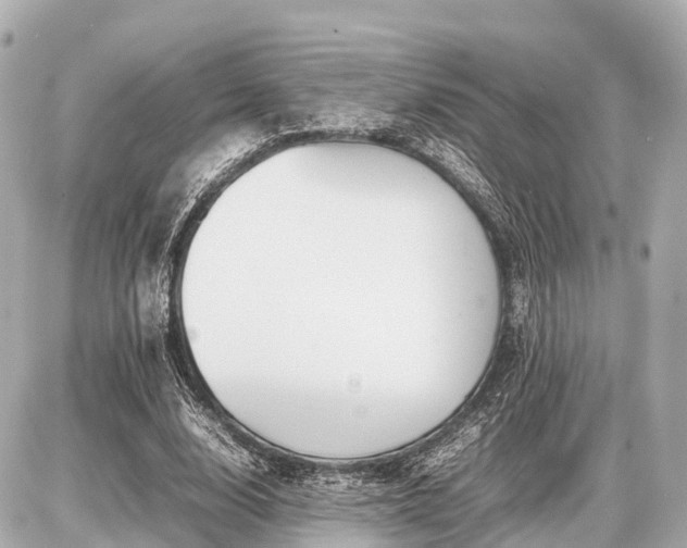 X0000087050632200704251005