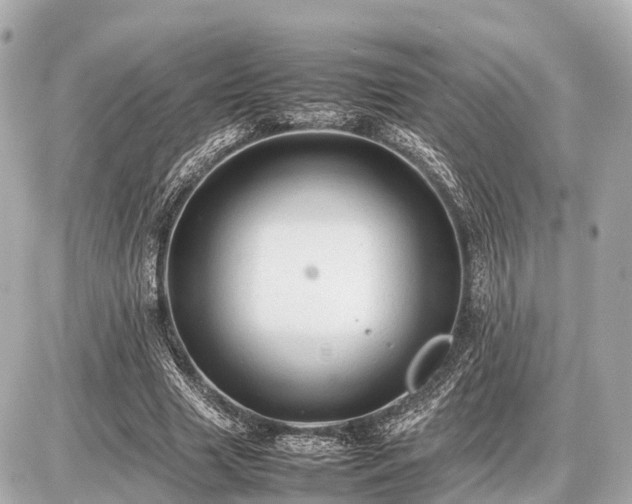 X0000087050633200704251005