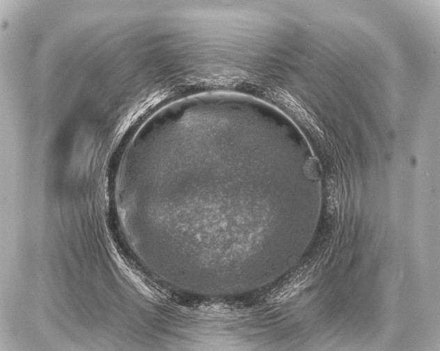 X0000087050634200704251005