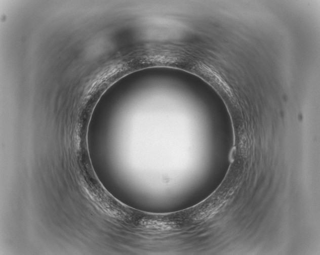 X0000087050635200704251005