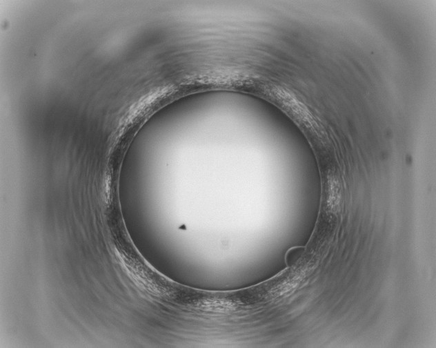 X0000087050636200704251005