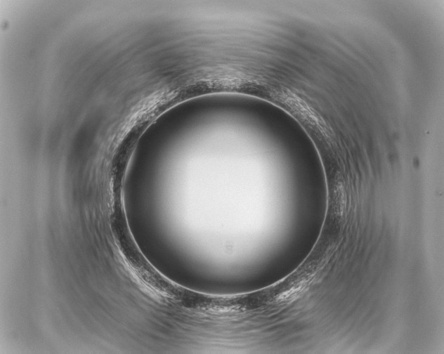 X0000087050638200704251005