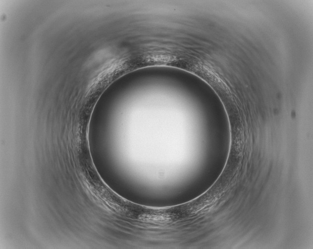 X0000087050639200704251005