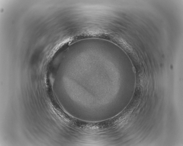 X0000087050640200704251005