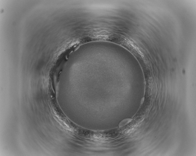 X0000087050641200704251005