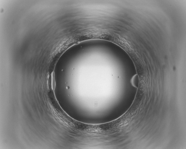 X0000087050642200704251005