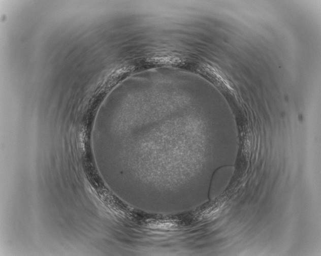 X0000087050643200704251005