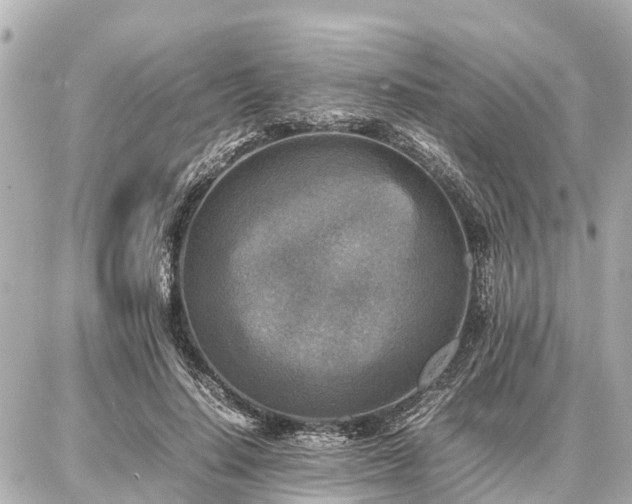 X0000087050644200704251005