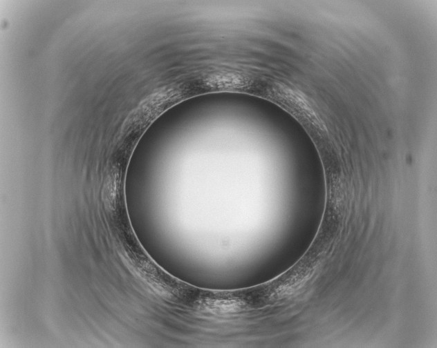 X0000087050645200704251005