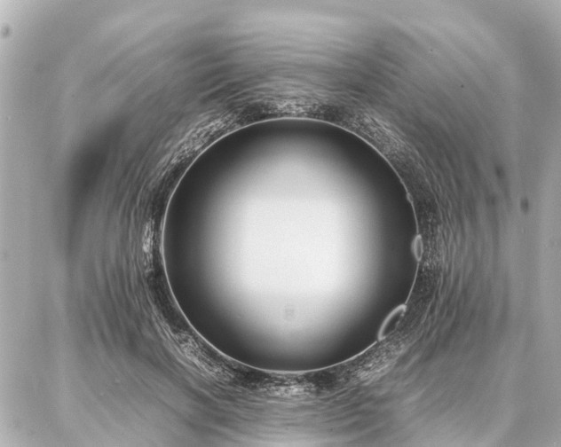 X0000087050646200704251005