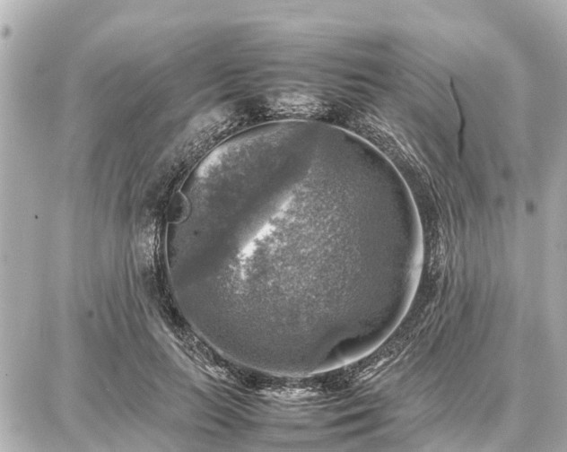 X0000087050647200704251005