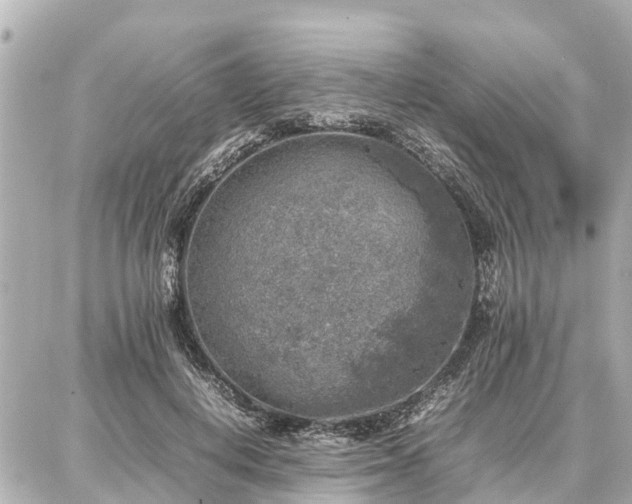 X0000087050648200704251005