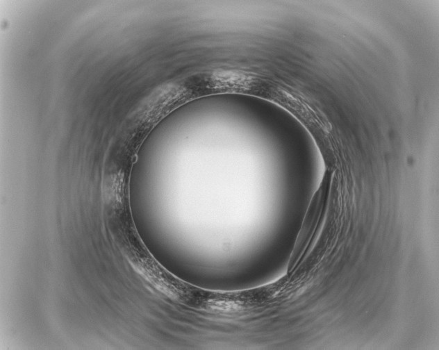 X0000087050649200704251005