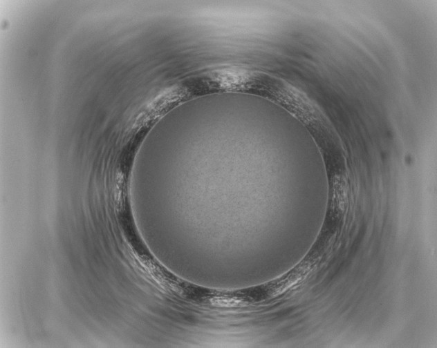 X0000087050650200704251005