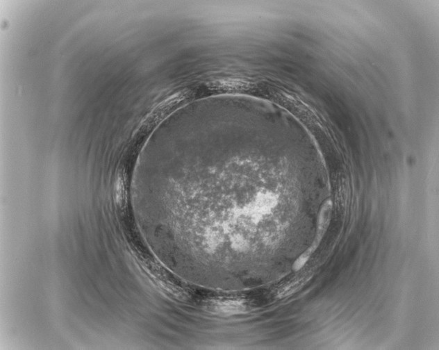 X0000087050651200704251005