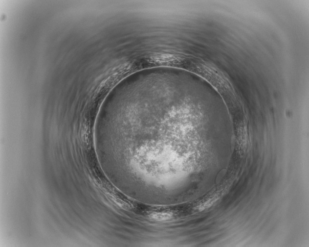 X0000087050653200704251005