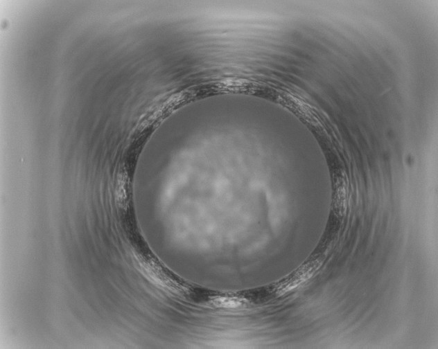 X0000087050654200704251005