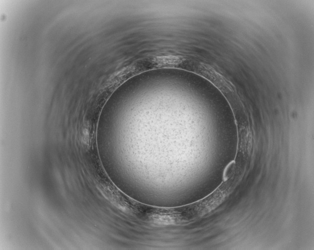 X0000087050655200704251005