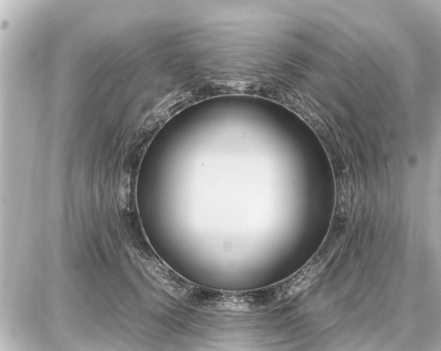 X0000087050656200704251005