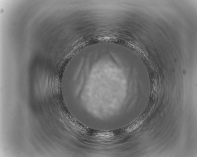 X0000087050659200704251005