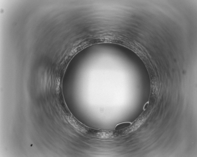 X0000087050660200704251005