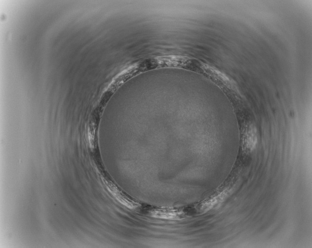 X0000087050661200704251005