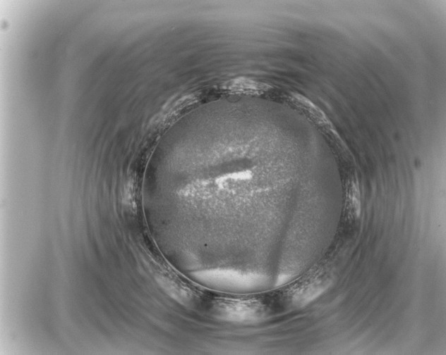 X0000087050663200704251005