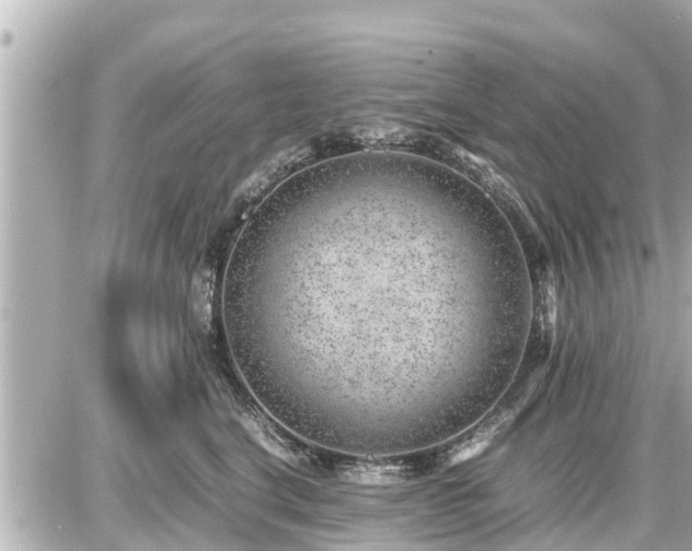 X0000087050664200704251005