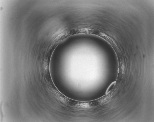 X0000087050665200704251005