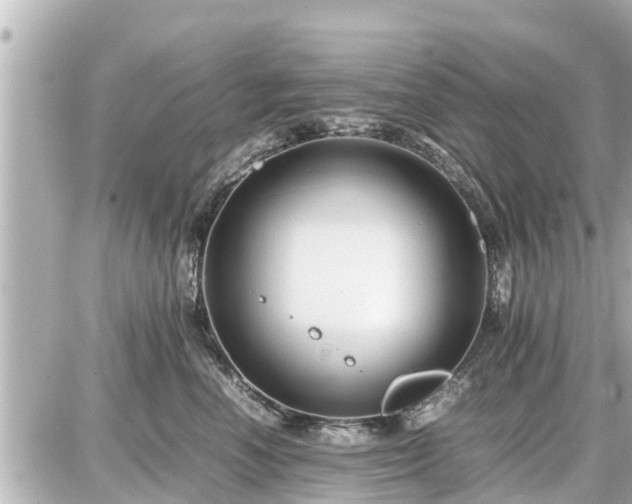 X0000087050666200704251005