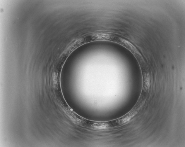 X0000087050667200704251005