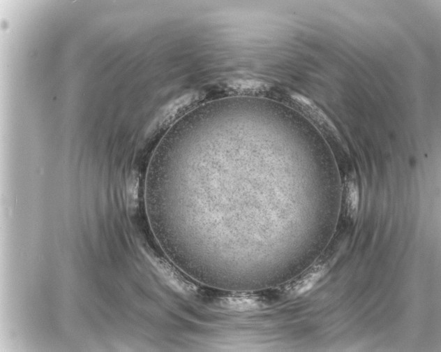 X0000087050668200704251005