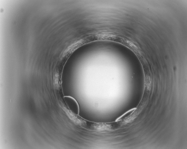 X0000087050670200704251005