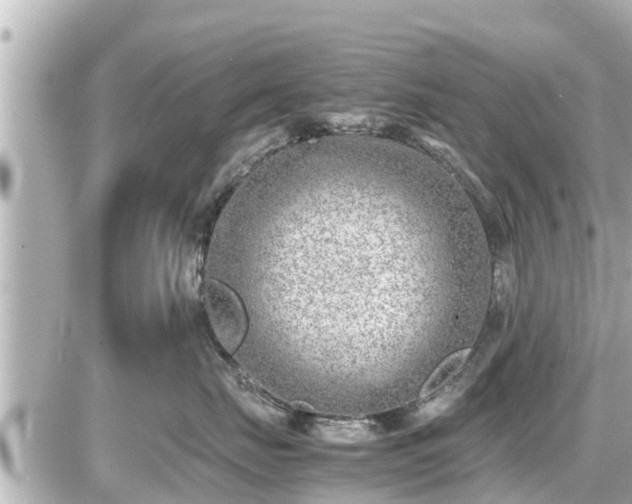 X0000087050671200704251005