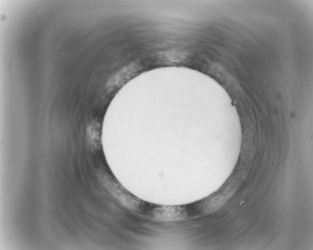 X0000087050672200704251005