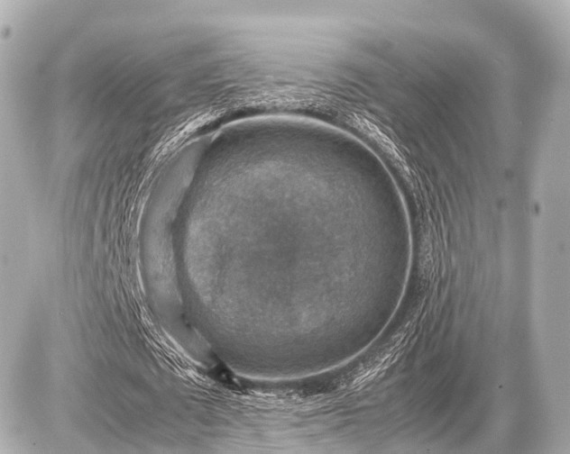 X0000087050673200704251005