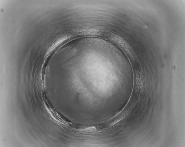 X0000087050674200704251005