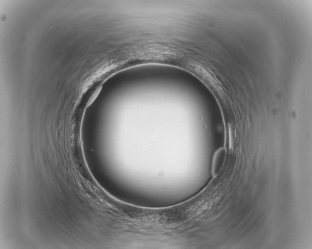 X0000087050675200704251005