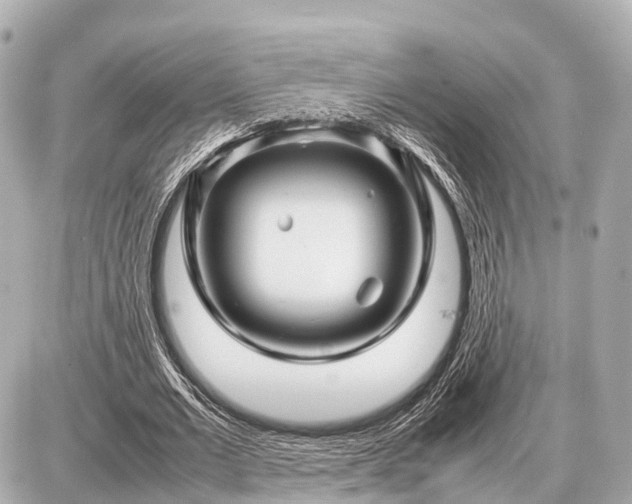 X0000087050677200704251005