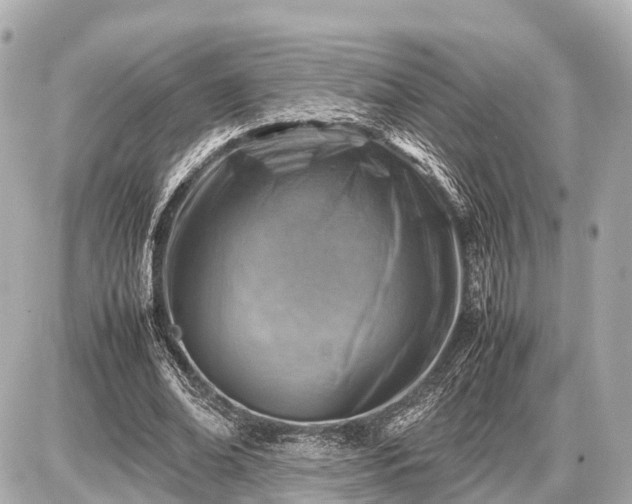 X0000087050678200704251005