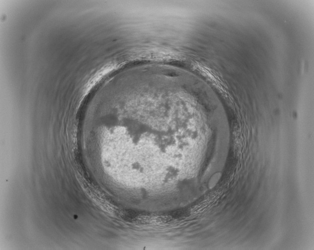 X0000087050679200704251005