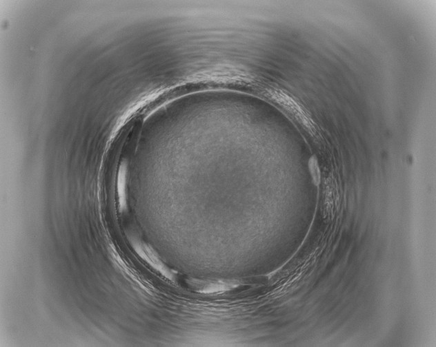 X0000087050680200704251004