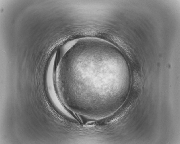 X0000087050681200704251004