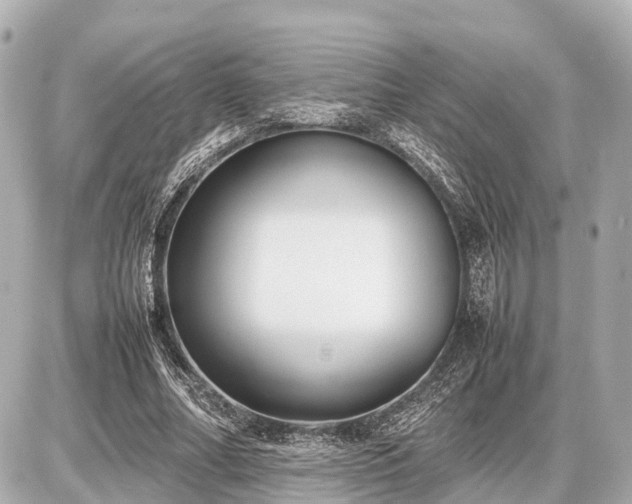 X0000087050682200704251004